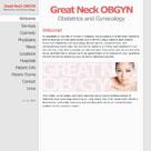 Website: Great Neck OB/GYN